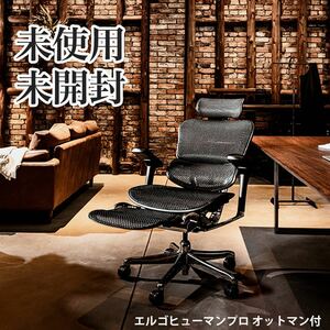 【未使用品】エルゴヒューマン プロ 2Ergohuman Pro オフィスチェア EHP2-LPL-BF-BK