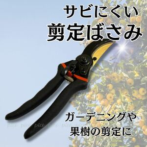 剪定鋏　剪定バサミ　剪定はさみ　ガーデニング　枝切り　花切り　SK-5 チタン　果樹　剪定　盆栽　園芸