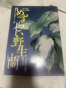 めずらしい野生蘭　花の変異　葉芸の魅力 （趣味のラン科植物シリーズ　３） 三橋俊治／編著