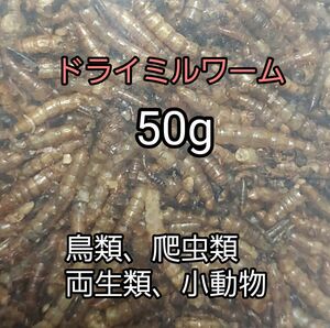  dry Mill wa-m50g birds small animals reptiles amphibia chicken parakeet parrot writing bird hamster hedgehog 