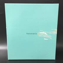 ★E02050【未使用保管品】TIFFANY&Co. ティファニー/ペア ビアグラス/アトラスピルスナー/高さ 約19.3㎝/箱付_画像8