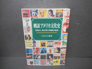 概説 アメリカ文化史 / 笹田直人,堀真理子,外岡尚美 [単行本]　　2/16513