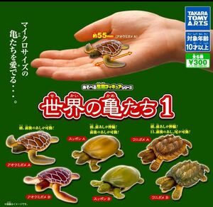 あそべる生物フィギュアシリーズ 世界の亀たち１全６種セット　ガチャ 送料無料　匿名配送