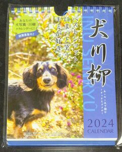 犬川柳　2024年度 週めくり カレンダー　ダックス川柳