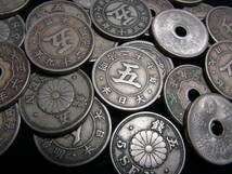 菊・稲・大型5銭白銅貨　いろいろ　たくさん　_画像3