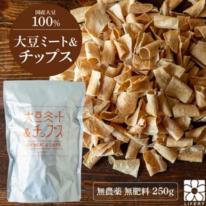 【無農薬・無肥料・無添加・国産非遺伝子組換え大豆使用】大豆ミート&チップス 250g/ベジミート 大豆たんぱく ソイミート 大容量