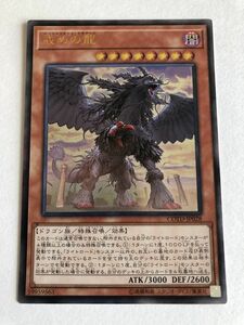 遊戯王　闇　戒めの龍　レリーフ