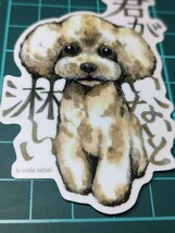 プードルステッカー 君がいないと淋しい／犬 シール 愛犬家 わんこ ワンワン dog poodle sticker かわいい オシャレ doggy イッヌ 寂しい _画像3