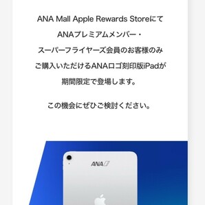 ANAロゴ刻印 限定 iPad 9世代 10.2インチ 64GB Wi-Fiモデル シルバー 未開封 2024年2月購入の画像2
