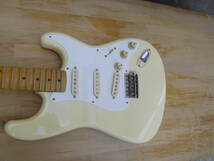 Fender Stratocaster ORDER Y-161 _画像1