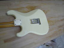 Fender Stratocaster ORDER Y-161 _画像9