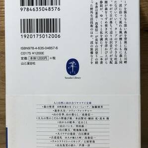 □2/BOOK【12519】-  タープの張り方* 火の熾し方 私の道具と野外生活術 文庫本*高桑信一 (著)の画像2