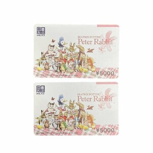 未使用 図書カードNEXT ピーターラビット Peter Rabbit みんな一緒 5000円×2 10000円分 有効期限 2036年12月31日 残高確認 送料84円