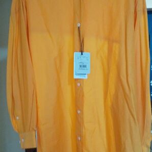 HAVEL studio ハーヴェルスタジオ N/C BASICSHIRT 長袖 シャツ