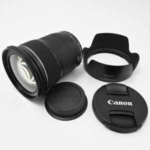 【新品級の極上美品/動作◎】 Canon 標準ズームレンズ EF24-105mm F3.5-.5.6 IS STM　キャノン　キヤノン