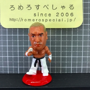 同梱OK∞■◇【フィギュア/プロ格ヒーローズ1】新崎人生/Jinsei Shinzaki/みちのくプロレス/新日本プロレス/NJPW/WWE/WWF【格闘技】の画像1