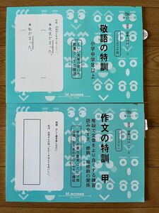 サイパー　敬語の特訓―正しい言葉の使い方 (国語読解の特訓シリーズ 24) と作文の特訓 甲　のセット