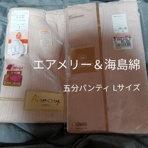 高級下着五分パンティ2枚 下着 婦人 ショーツ