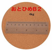 日清丸紅飼料 おとひめB2 2kg×2袋(4kg) (0.36～0.62mm) メダカ、金魚、熱帯魚の餌に 宅急便配送_画像1