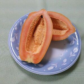 フルーツパパイヤ詰め合わせ 約2kg（2～5個）沖縄・石垣島よりの画像2