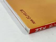 【実物大型紙付き】 「NHKおしゃれ工房 内藤乃武子のちりめん手芸」 内藤乃武子_画像9