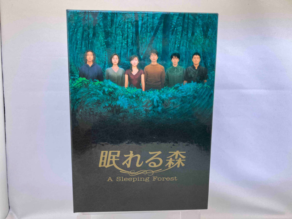 眠れる森 Ａ Ｓｌｅｅｐｉｎｇ Ｆｏｒｅｓｔ ＤＶＤ－ＢＯＸ／中山美穂