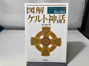 図解 ケルト神話 池上良太