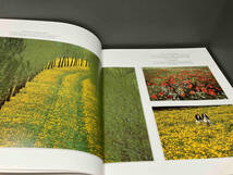 雑誌 写真集 MARTIN KERS HOLLANDBOOK Photographic Impressions of Holland 洋書 オランダ_画像5