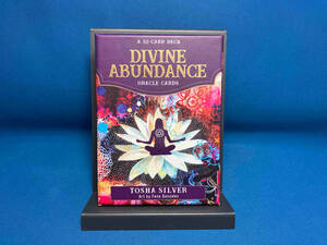 オラクルカード DIVINE ABUNDANCE ORACLE CARDS TOSHA SILVER