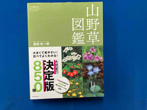 山野草図鑑　大きくて見やすい！比べてよくわかる！　８５０種 （アサヒ園芸ＢＯＯＫ） 金田洋一郎／著