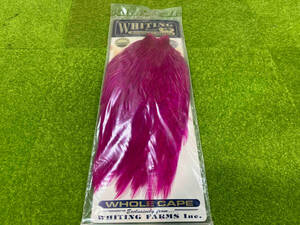 ジャンク WHITING AMERICAN HACKLE Silver American Rooster Cape White dyed Magenta フライマテリアル フィッシング