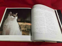 世界で一番美しい猫の図鑑 タムシン・ピッケラル　大判_画像4