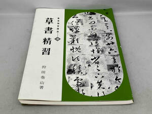 書道精習講座3 草書精習 狩田巻山