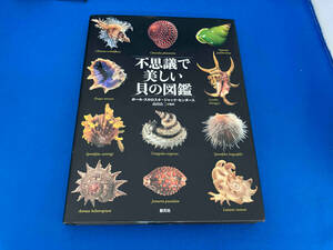 レア　初版　不思議で美しい貝の図鑑 ポール・スタロスタ