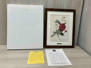 P.J.Redout’e 『Rosa Iindica Cruenta』 複製画 サイズ450×350