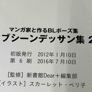 BLポーズデッサン集カップリング別抱擁＆密着シーン  マンガ家と作るBLポーズ集ラブシーンデッサン集(2) 2冊セットの画像8