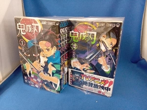 完結セット+鬼殺隊見聞録弐 鬼滅の刃 吾峠呼世晴
