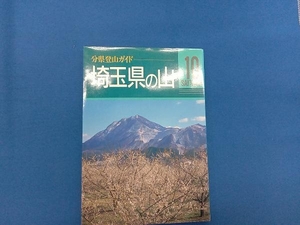 埼玉県の山 打田えい一