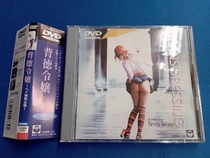 DVD 背徳令嬢
