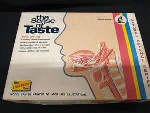 LINDBERG プラモデル the Sense of Taste リンドバーグ 味覚器官 KIT NO.1315