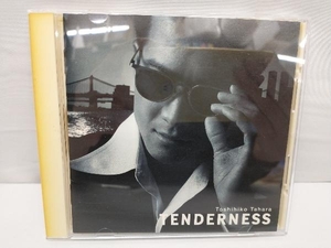 田原俊彦 TENDERNESS