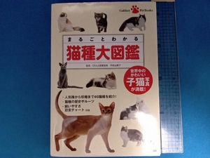 wholly understand cat kind large illustrated reference book . rice field ...