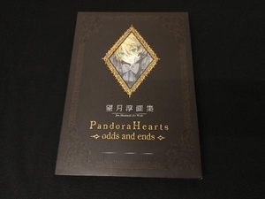 ＰａｎｄｏｒａＨｅａｒｔｓ～ｏｄｄｓ　ａｎｄ　ｅｎｄｓ～　望月淳画集 望月淳／著