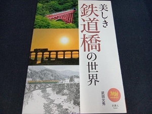 美しき鉄道橋の世界 武田元秀