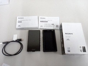 SONY NW-A306 ウォークマン NW-A306 WALKMAN2023年式