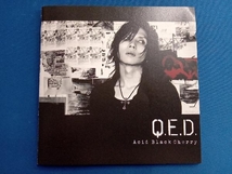 Acid Black Cherry CD Q.E.D.(ジャケットB)(DVD付)_画像4