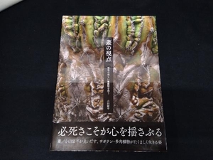 叢の視点 小田康平