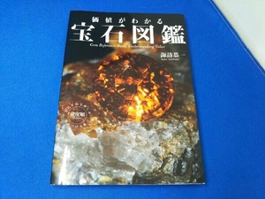 価値がわかる宝石図鑑 諏訪恭一