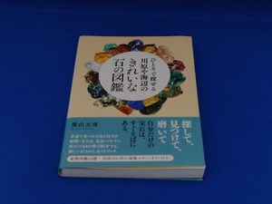 ひとりで探せる川原や海辺のきれいな石の図鑑 柴山元彦