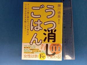 うつ消しごはん 藤川徳美